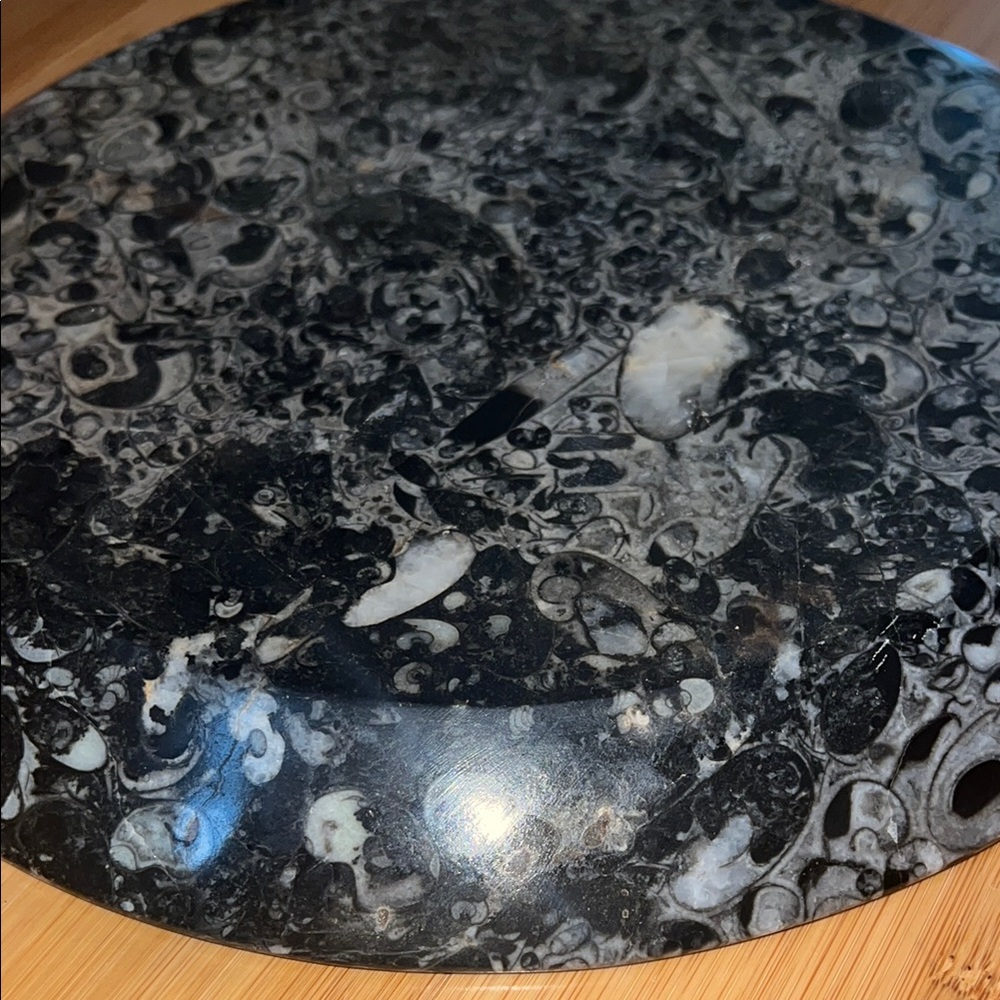 AMMONITE PLATE - Picture 7 of 10